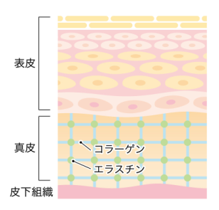 newaリフト 毎日